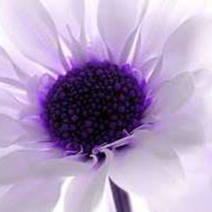 Meet your Posher, Patty